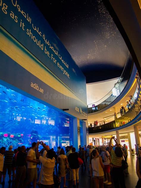 Dubai Aquarium In The Dubai Mall Editorial Stock Photo - Image of east ...