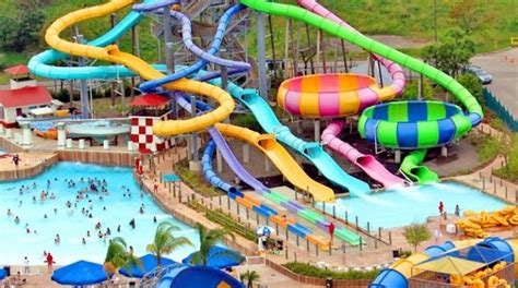 Gratis pentru români la Aquapark în Ungaria Timisoara Stiri live