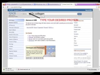 Protein Database Of NCBI PPT