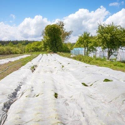 Agrowłóknina biała w ogrodnictwie Po co ją stosować Sklep