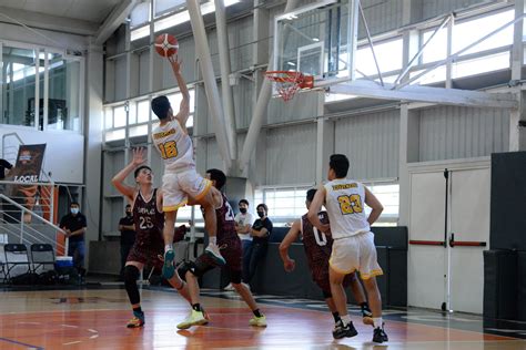 Zorros De B Squetbol Ascienden A Primera Divisi N Cetys Deportes