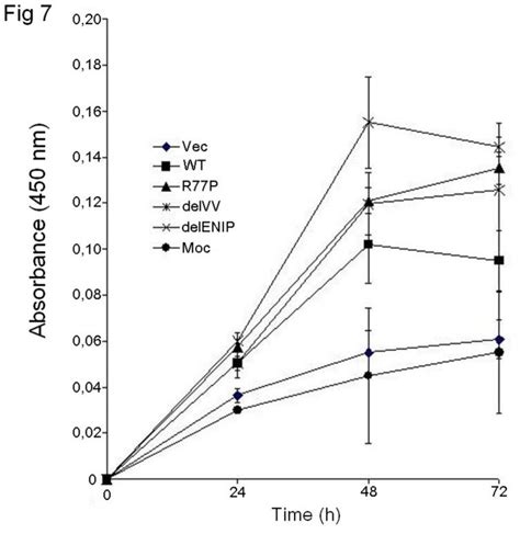 Proliferation Assay At Different Time Points 24 48 And 72 H The Wt