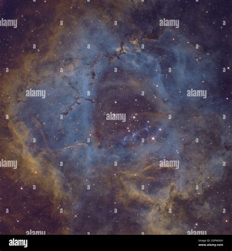 NGC 2237 Also Known As The Rosette Nebula Is Located Near One End Of