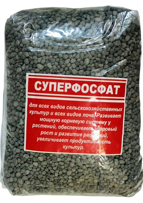 Чем подкормить гортензию летом в саду: удобрения для пышного цветения и ...