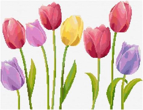 Tulips Cross Stitch Designs Cross Stitch Designs Cross Stitch