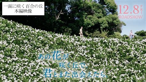 あの花が咲く丘で君とまた出会えたら百合の丘 本編映像12 8 𝗳𝗿𝗶 𝗥𝗢𝗔𝗗𝗦𝗛𝗢𝗪 Moe Zine