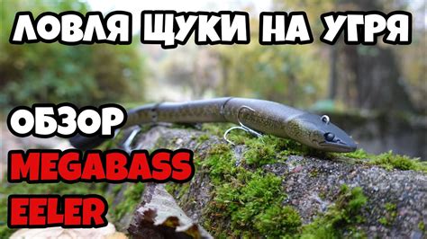 Обзор воблера Megabass Eeler, лучший воблер на щуку осенью. - YouTube