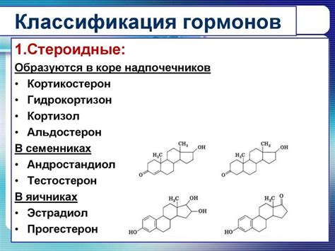 Гормон Кортизол: суть, свойства, методы борьбы
