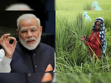 Pm Modi Releases 15th Installment Of Pm Kisan Scheme Heres How To