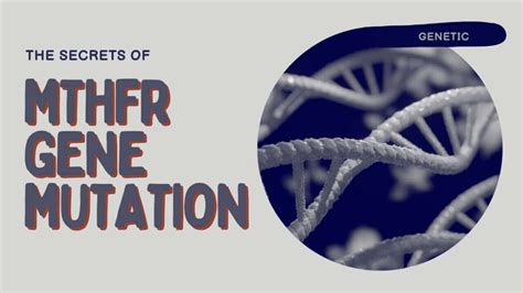 12 Secrets Of Mthfr Gene Mutation Implications For Your Well Being