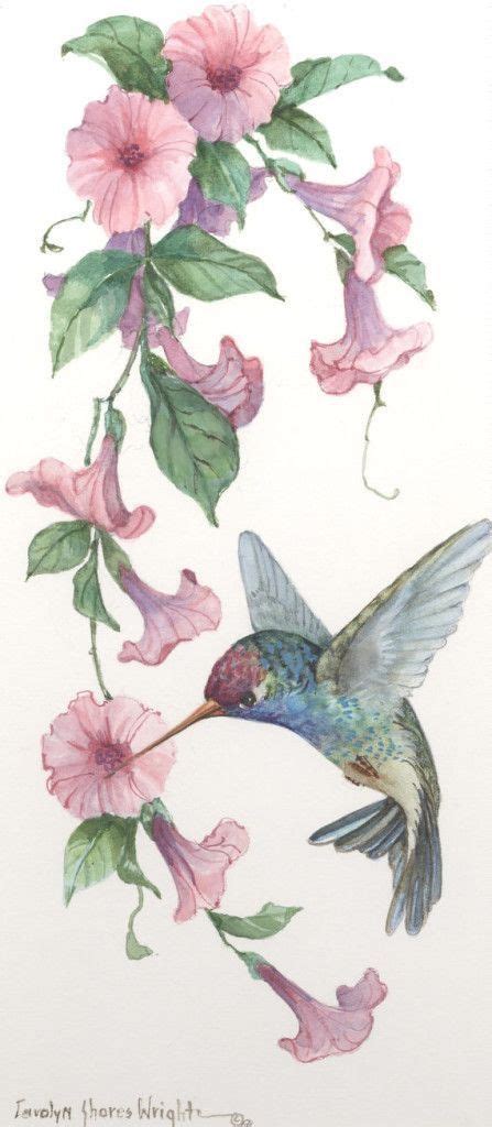 Pin By Kay Waldron On Painting BIRDS Bird Drawings Watercolor Bird