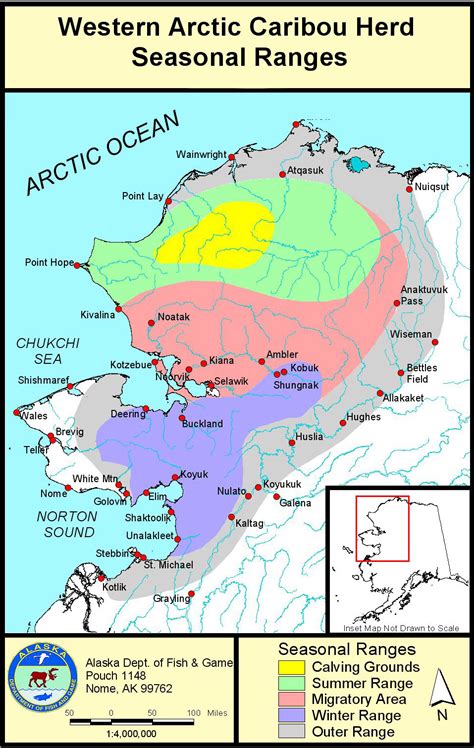 Range Map – Western Arctic Caribou Herd