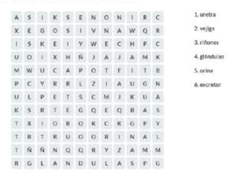 Encuentra Las Siguientes Palabras En La Sopa De Letras Brainly Lat