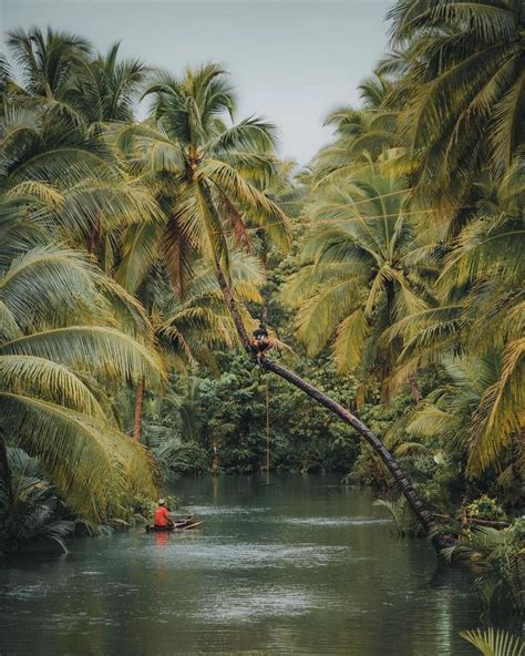 Siargao Island - Island in the Philippines | Siargao island, Siargao ...