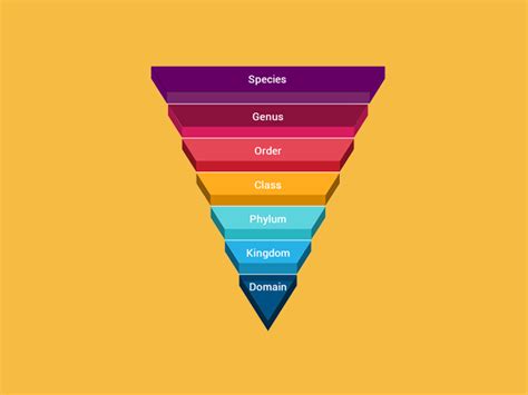 Taxonomic Classification: From Domain to Species - Earth How