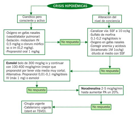 Cardiopatías Congénitas En Urgencias Manuales Clínicos