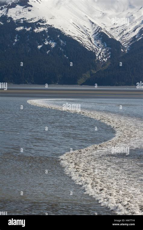 Bore Tide in Turnagain Arm near Anchorage, Alaska Stock Photo - Alamy