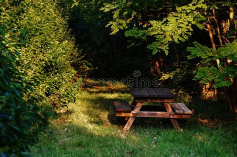 Wooden Picnic Table In Lush Green Park Stock Image Image Of Grass