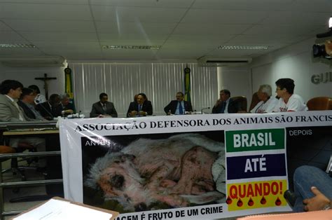 Capitão Samuel presidiu a instalação da Frente Parlamentar Fotos