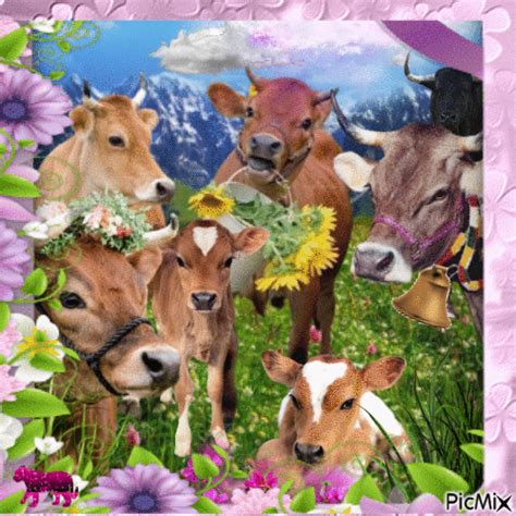 Cute cows 🐄 - Free animated GIF - PicMix