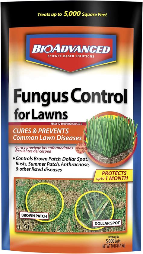 Top 10 Lawn And Garden Fungus Control Your Best Life