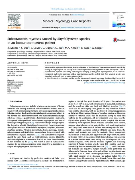 Pdf Subcutaneous Mycoses Caused By Rhytidhysteron Species In An