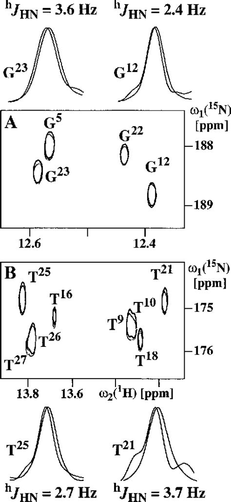 Figure 3 From NMR Scalar Couplings Across Watson Crick Base Pair