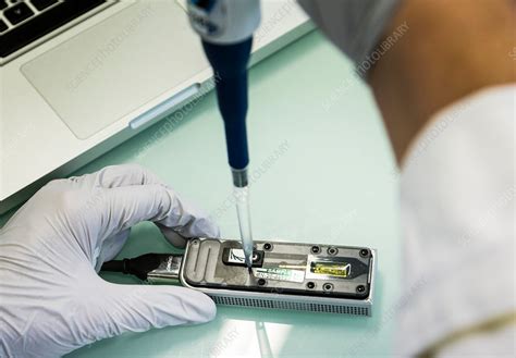 Nanopore sequencing of DNA - Stock Image - C030/1772 - Science Photo ...