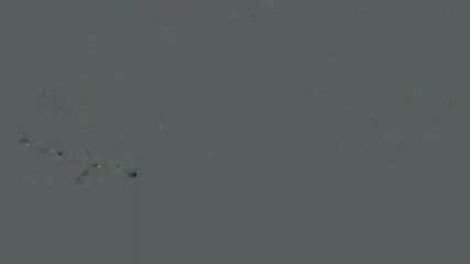 Beautiful Blonde Amazing Anal Fuck