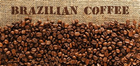 brazilian coffee    comercio  exportacao