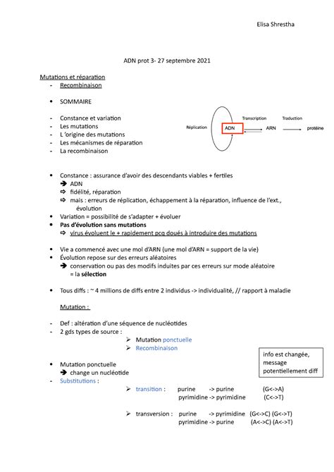 Adn Prot Cours De L Adn La Prot Ine De Dominique Garcin