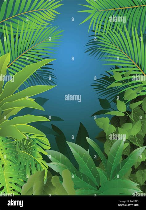 Tropical Forest Background Stock Vector Image And Art Alamy