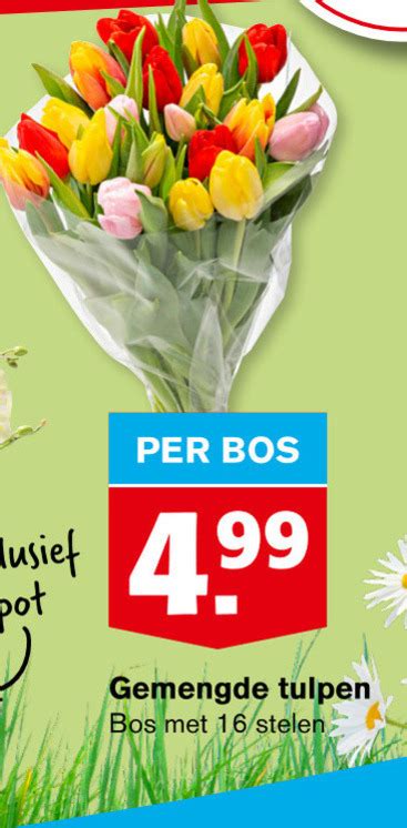 Tulpen Folder Aanbieding Bij Hoogvliet Details