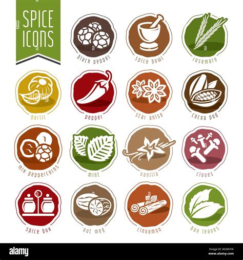 Vector Spice Multiple Icons Set Stock Vector Image Art Alamy