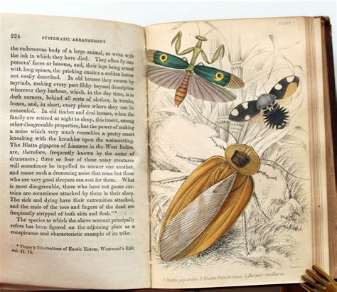 The Naturalist S Library Vol XXVIII Entomology Introduction To