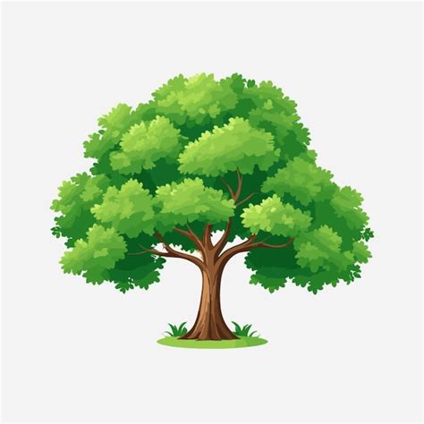 Vector De Dessin Anim D Arbre Sur Fond Blanc Vecteur Premium