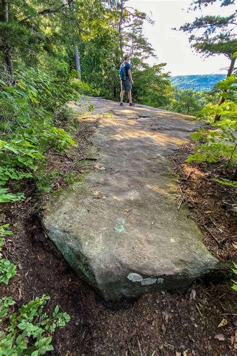 West Pinnacle Trail (Berea, Kentucky) - Champagne Tastes®