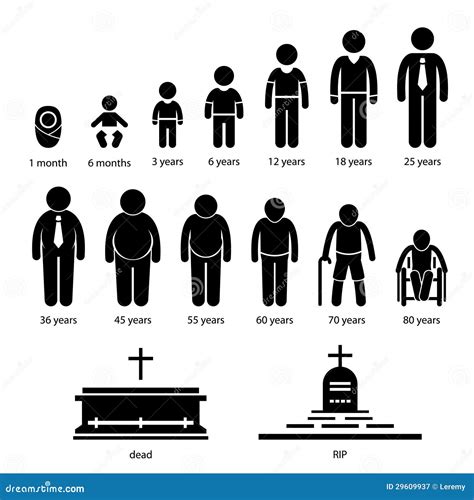 Man Human Aging Growing Process Stock Vector - Illustration of life ... 