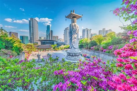 Exploring The Top 10 Best Places To Visit in Korea - TravelDota