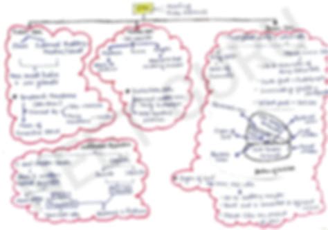 Solution Chap Neural Control And Coordination Mind Map Studypool