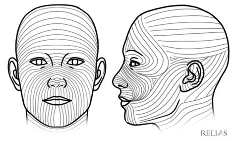 Pediatric Facial Lacerations In The Emergency Relias Media