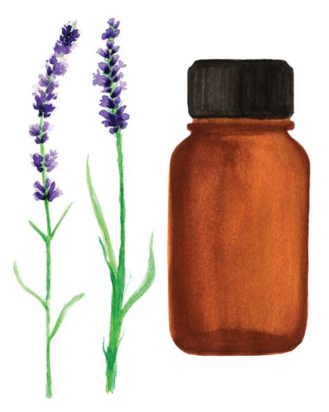 A Naturopathic Doctor’s Three Favorite Essential Oils Blends to Support