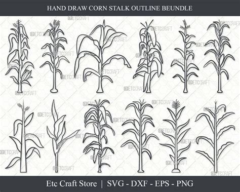 Corn Stalk SVG Corn Stalk Outline Corn Tree Svg Corn Svg Corn Stalk