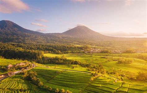 Desa Jatiluwih Destinasi Wisata Yang Akan Dikunjungi Oleh Peserta 10th