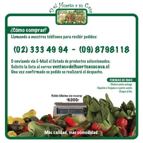 Frutas Y Verduras A Domicilio Del Huerto A Su Casa