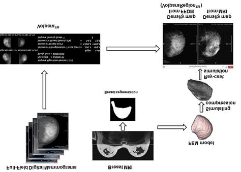 Scheme of the process to generate and compare density maps. | Download ... 