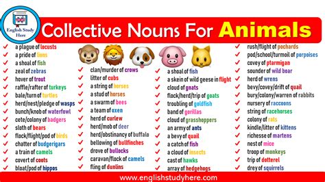 Collective Nouns For Animals, List of Collective Nouns for animals, Collective Nouns – Animals ...