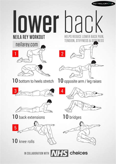 Workout Exercises: Workout Exercises To Strengthen Lower Back