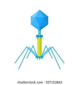 Bacteriophage Vector Isometric Illustration Phage Virus Stock Vector