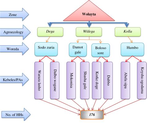 Schematic diagram of selection procedures of study site and sample ... 